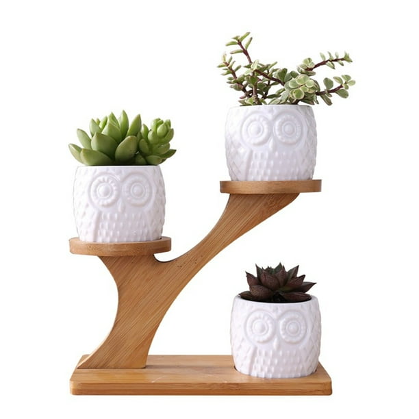 Yardwe 2pcs Ceramics Succulent Pots Cactus Plant Flower Pot Mini Porcelain Planter with Dragonfly Iron Stand for Garden Home Decoration 